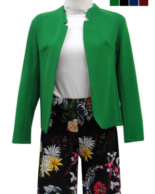 BLAZER COLORE VERDE